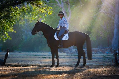 Julie Winkle Clinic at Smoke Tree Ranch